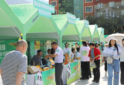 共話 甜蜜 事業 第八屆 世界蜜蜂日 5 20 主題活動在綿陽平武舉行